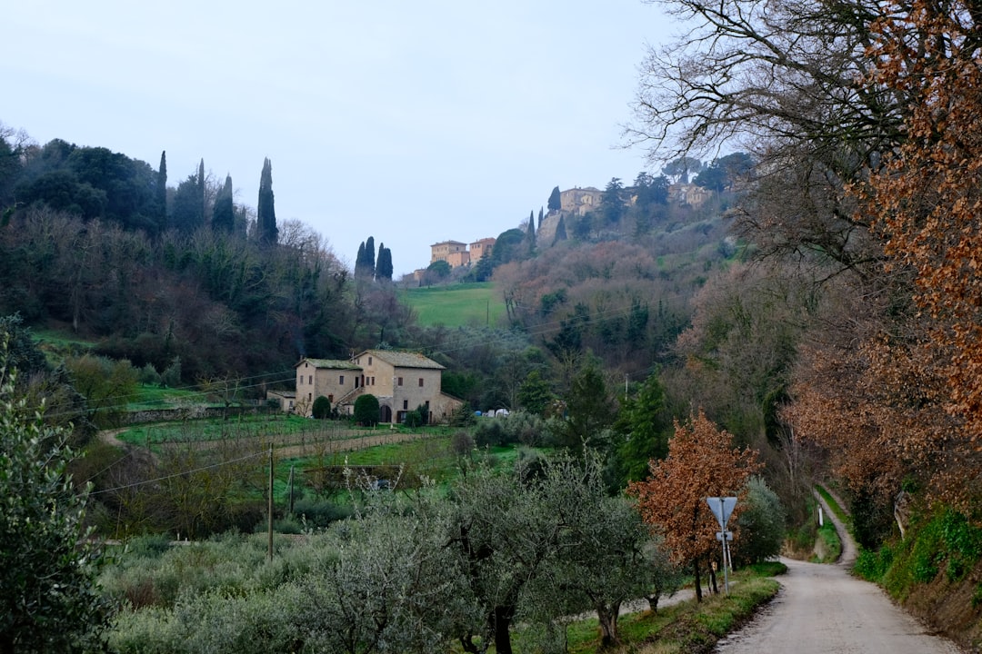 Casale Pietra Viva a Montalcino al tramonto circondato da olivi